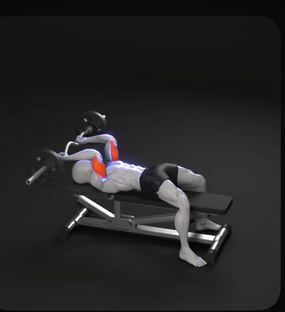 3D Anatomical Render